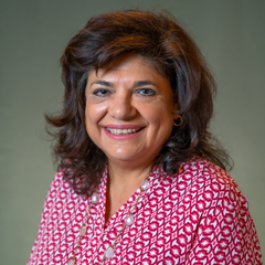 Shirley Gatenio Gabel, PhD, MSW, MPhil, BA